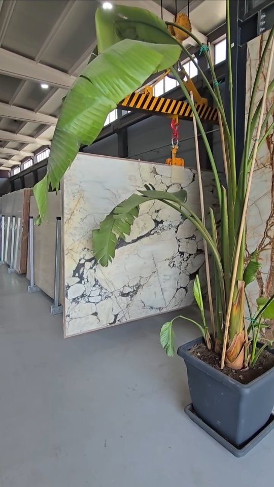 Rare Calacatta Monet Extra Marble Discovered in Turkey, Sparking Industry Excitement
